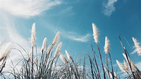 夢到房間淹水|夢到淹水：潛意識的警示與祝福，解讀夢境中的水之謎